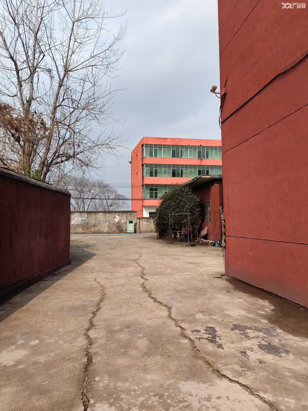 标准框架厂房水电齐全 - 4