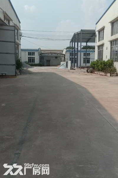 江门新会司前独院工业园厂房30000平方招租,可分栋出租 - 6
