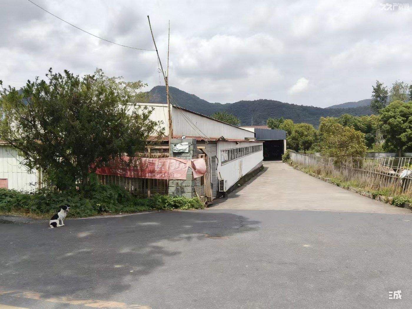 富阳东洲1300方单层钢架厂房出租