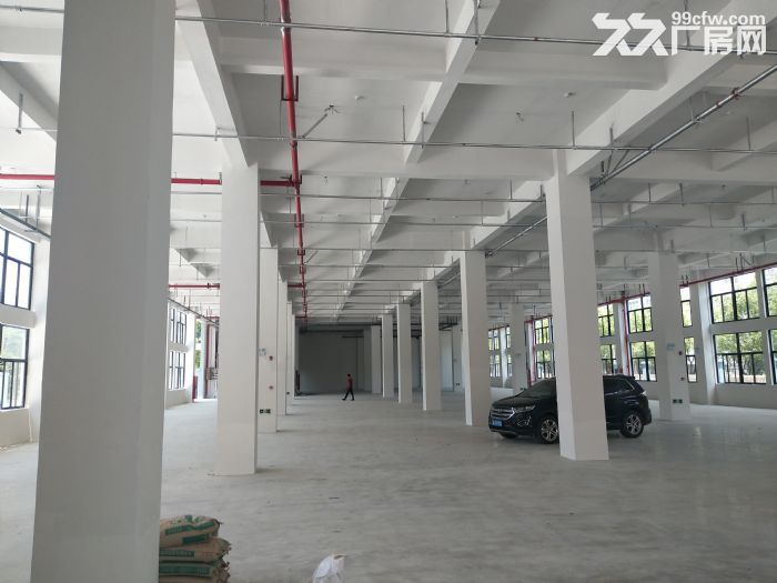 炬光园工业区1楼1200平方 适合各行业入驻 可用 - 8
