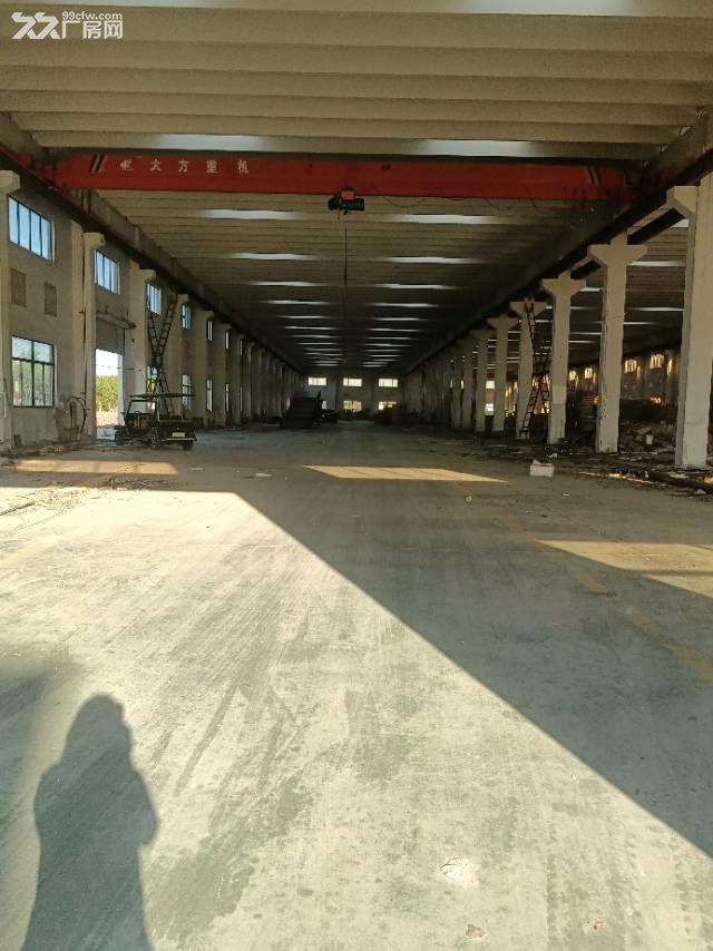 花园式 带大空地 单层砖混厂房 - 6