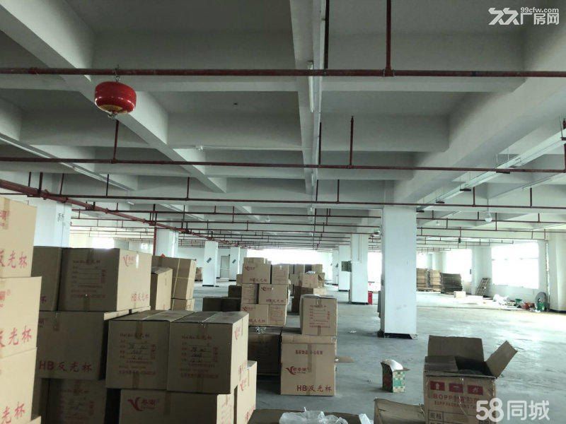 惠城区马安新乐工业区厂房1800平方出租 - 3