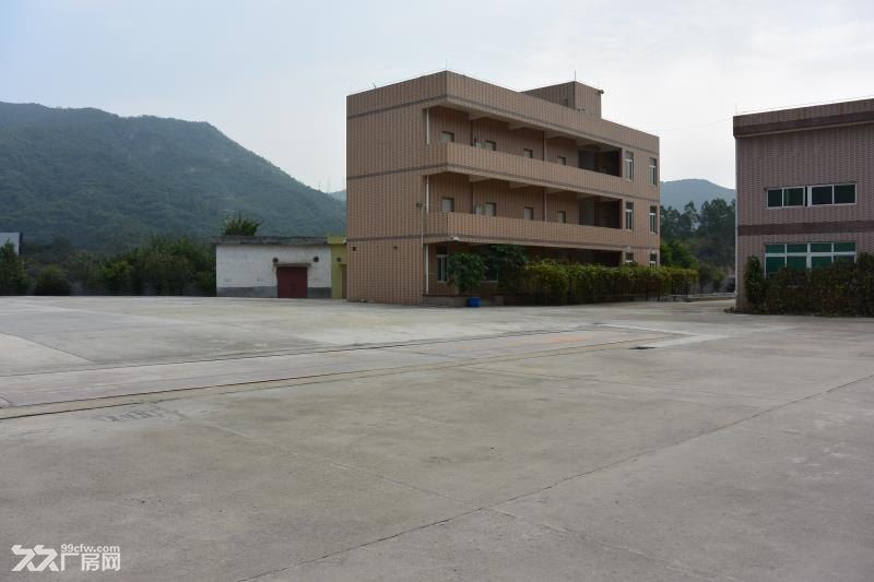 花园式独栋独院全新厂房出租 - 3