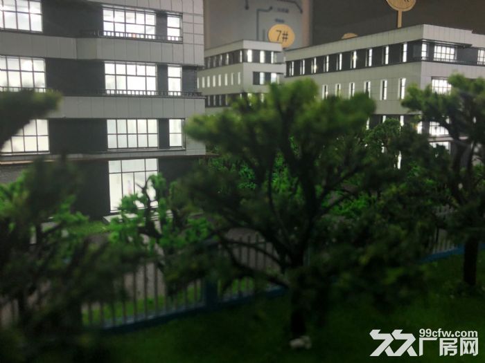 开发商直售50年产权标准厂房2380平 - 4