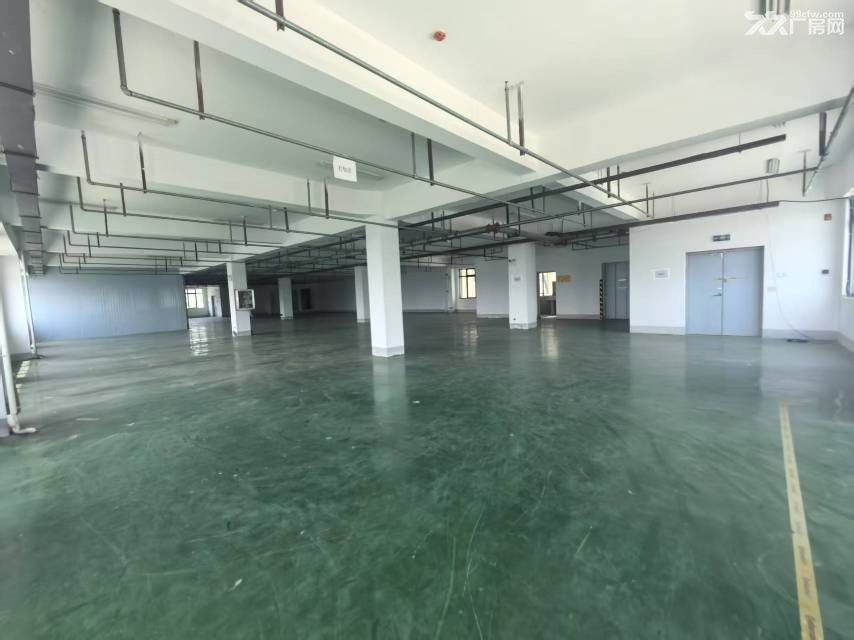 新站区标准厂房办公轻加工920平可分租
