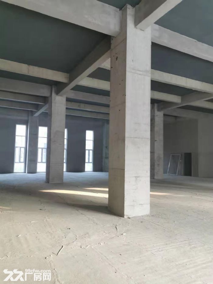燕郊省重点园区 可环 评贷款1500平独栋可分割 - 4