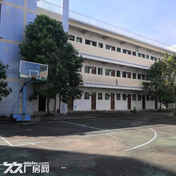 江门台山独院单一层带牛角12米高厂房20000平方招租 - 6