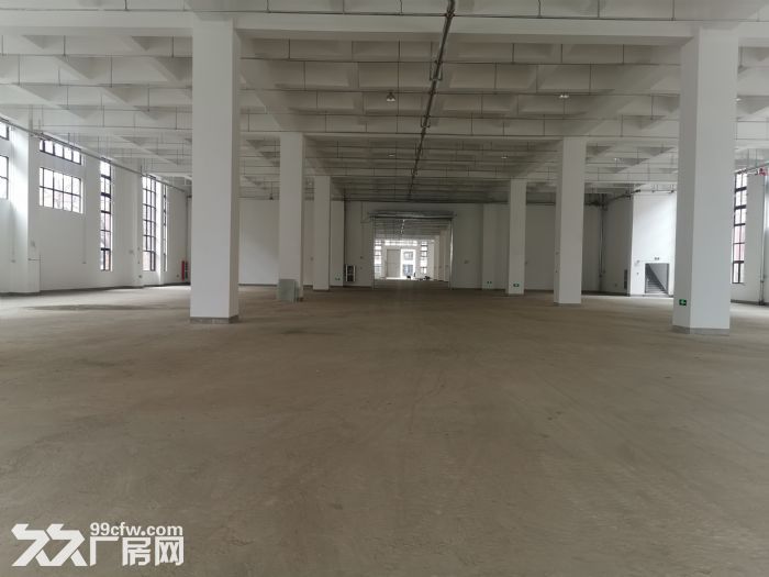 浦东临港双层丙二类厂房仓库35000平高9米无税收要求可环评加工仓储