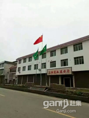 厂房出售或寻找合作项目 - 4