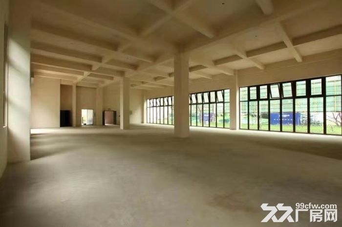 【层高8米】跨度40米 50年产权 - 3