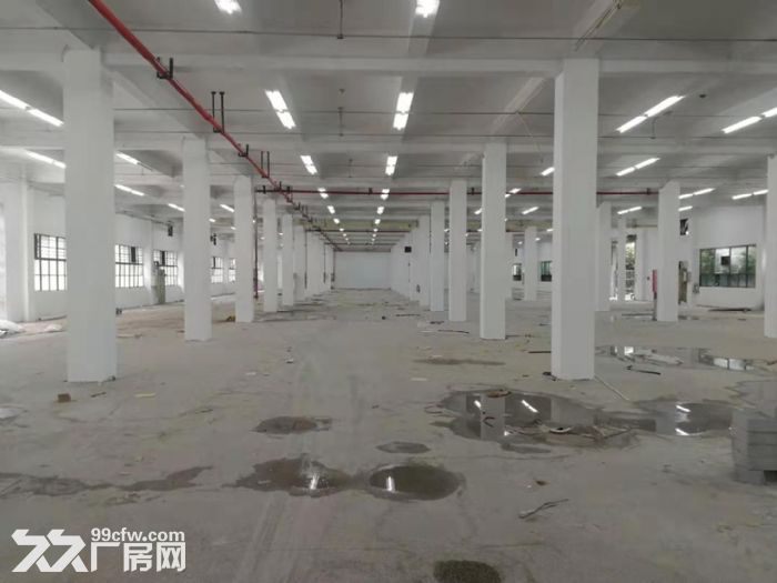 赵巷一楼2000平,500起分,104环境好,配套办公食堂宿舍 - 4