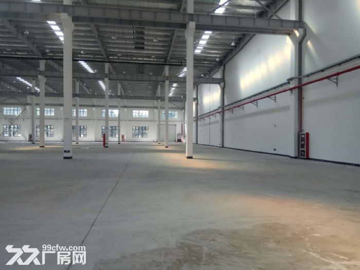 高新区10000平单层独栋工业厂房出租,外资企业看过来 - 2