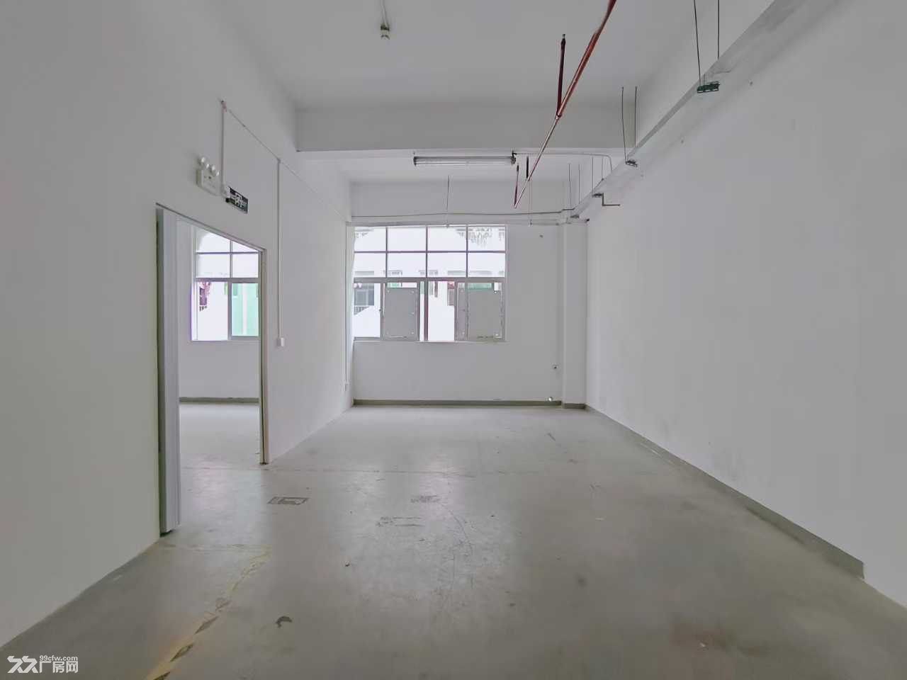 龙华大浪商业中心附近工业园区492平厂房出租 - 2