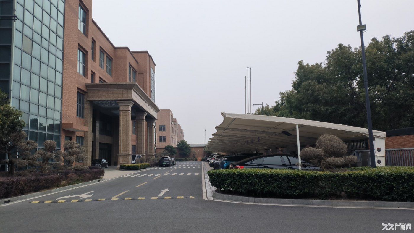奉贤区奉国路398号标准厂房出租 非中介 - 3