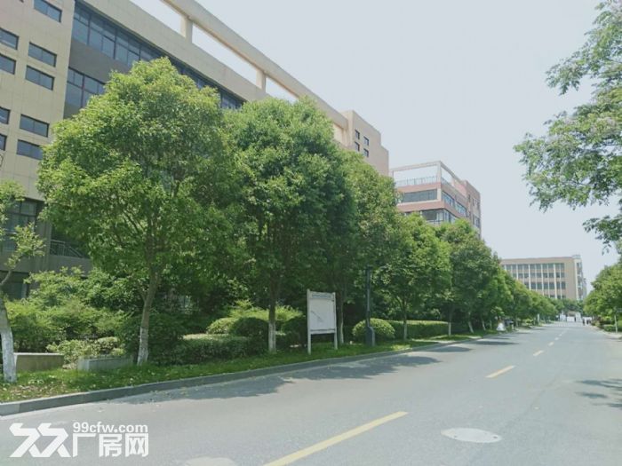科技园厂房出售性价比高个人非中介 - 2