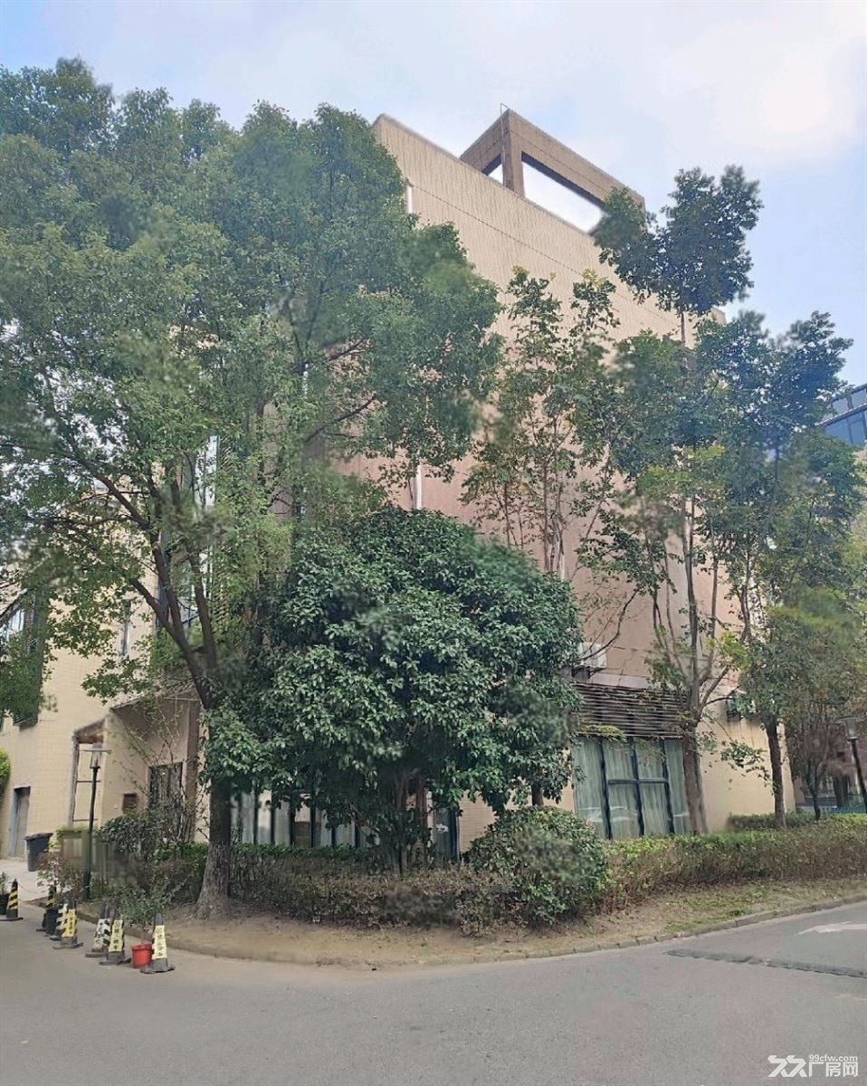 房东出租：南翔独栋精装704平带露台地下车库通燃气行业不限制 - 3