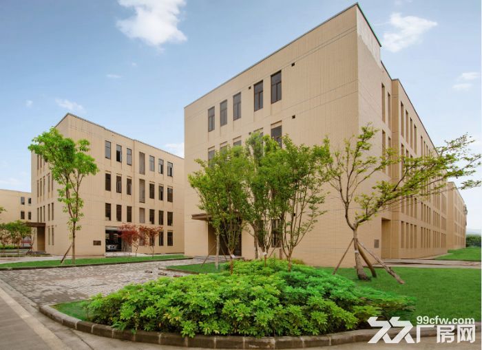 双福收费站旁高铁站下站口