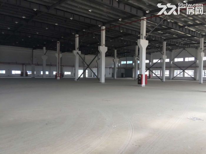 A(大小面积可分租)湖东独栋单层标准厂房 可架行车