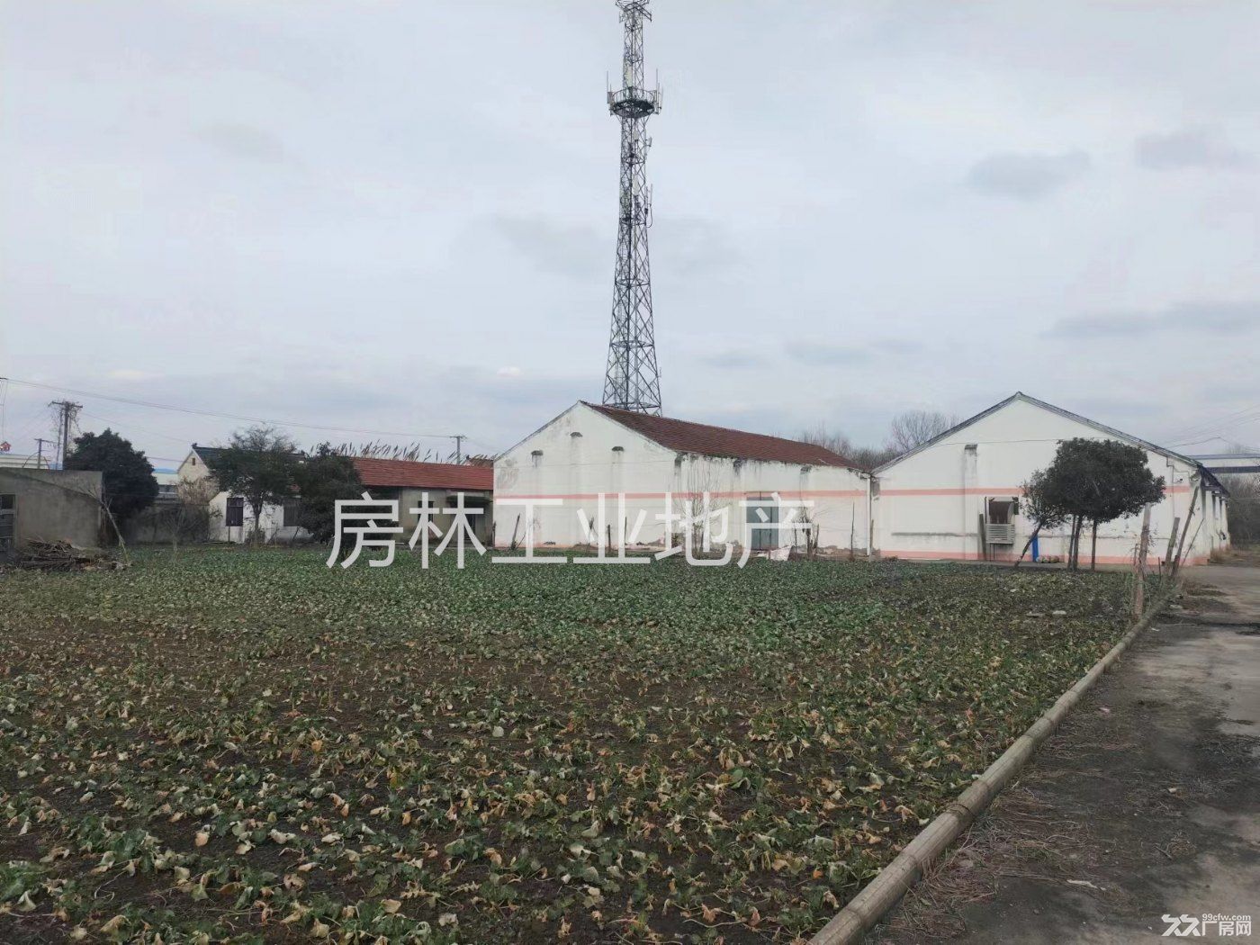 南通市 如皋 独门独院 国有工业用地 无税收要求