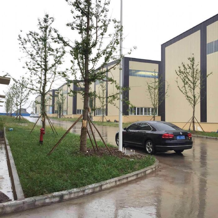 双福标准单层厂房出售 - 2