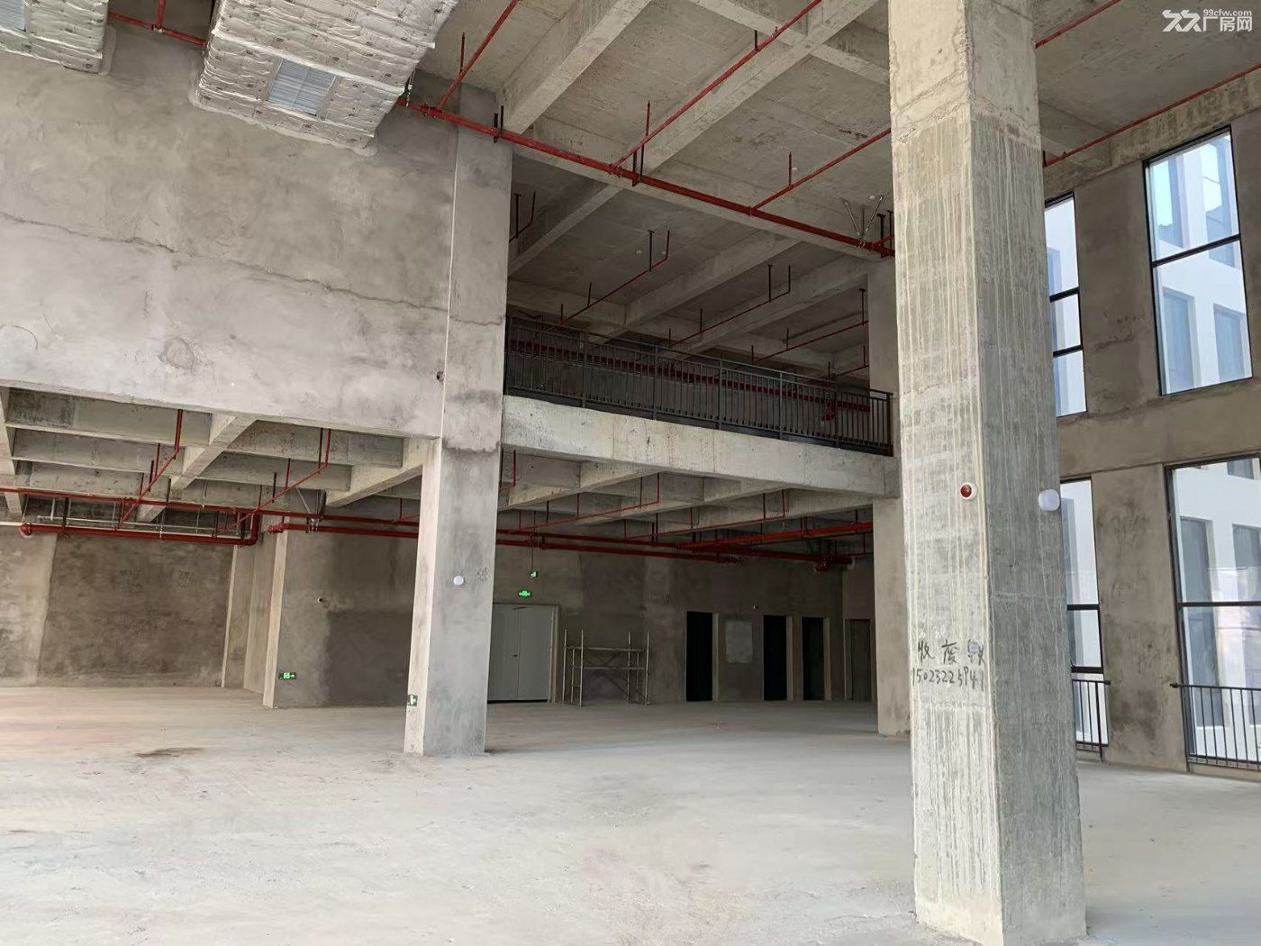 两江新区水土复兴独栋厂房可租可售 - 4