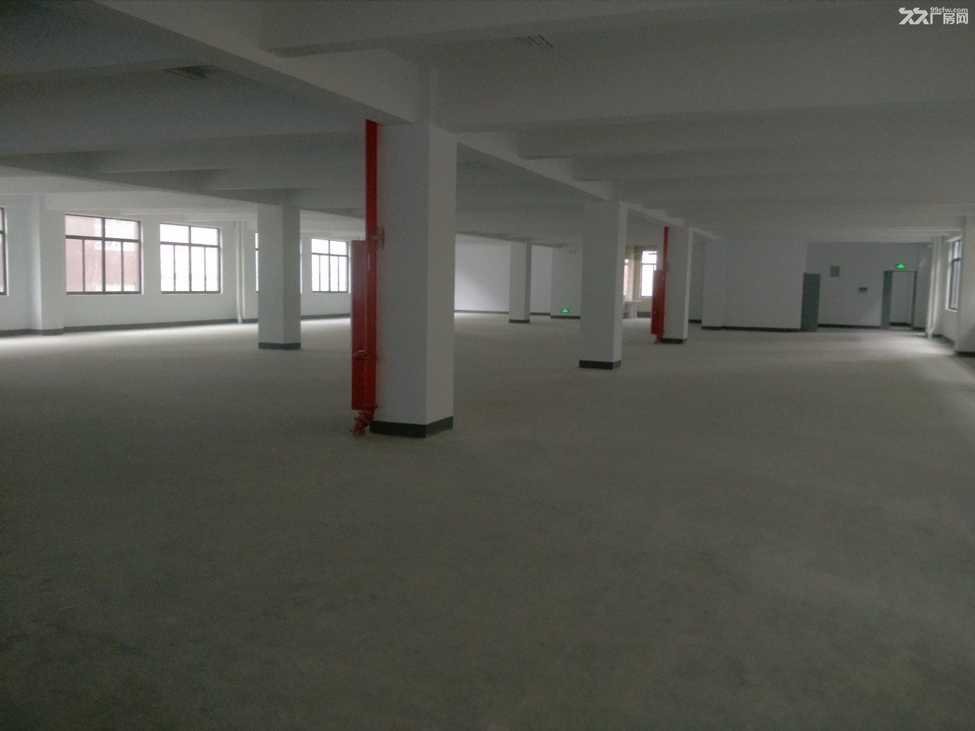松江荣乐东路新建厂房一楼2200平 独栋5000平出租 - 3