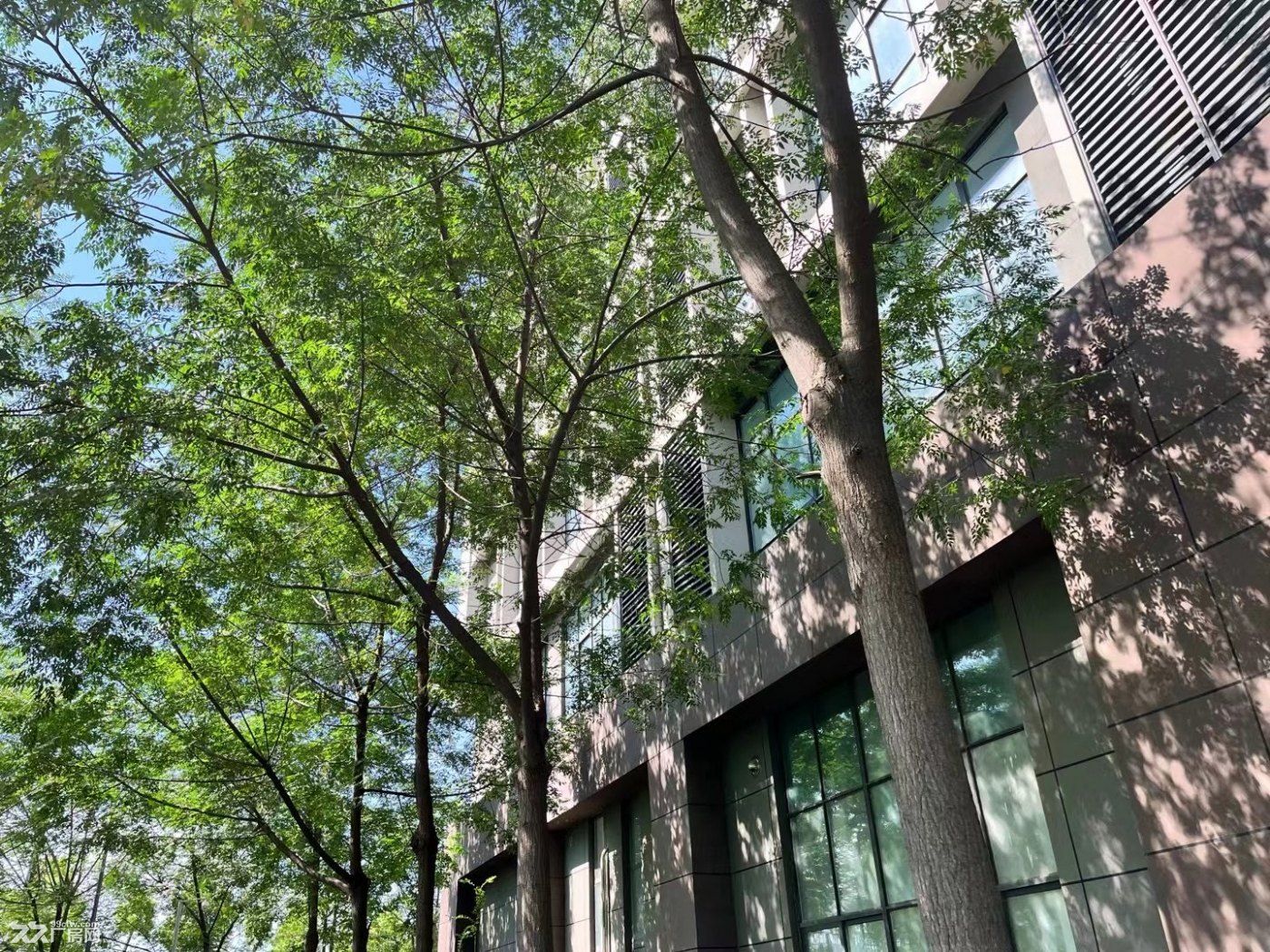 高新区墅级产业园火热招租中 - 5