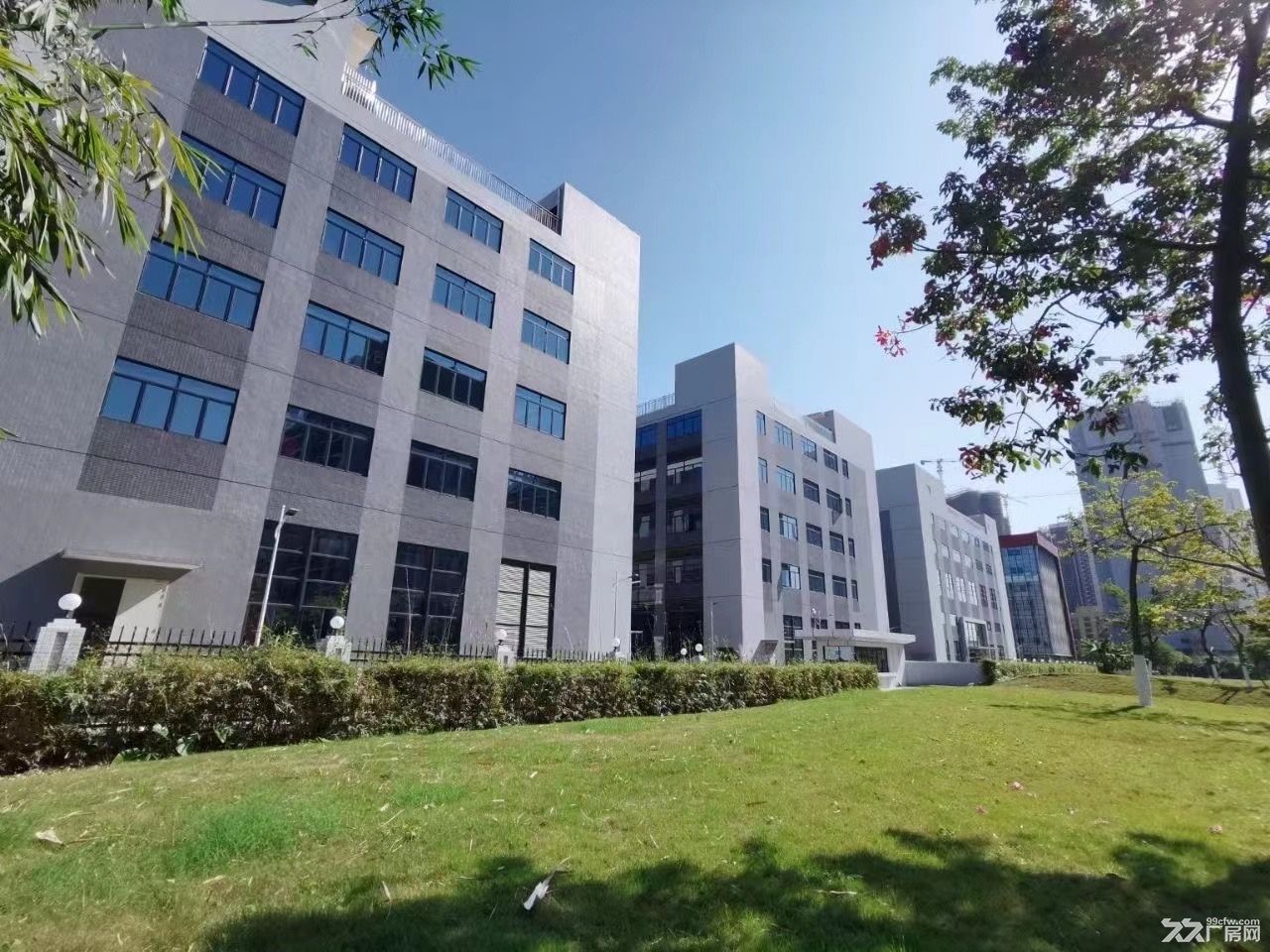 黄埔区科学城加入器园区标准厂房63000平,可分租。 - 6