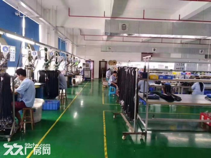 官井头嘉辉大龙工业区 带装修厂房出租1100平方 - 3