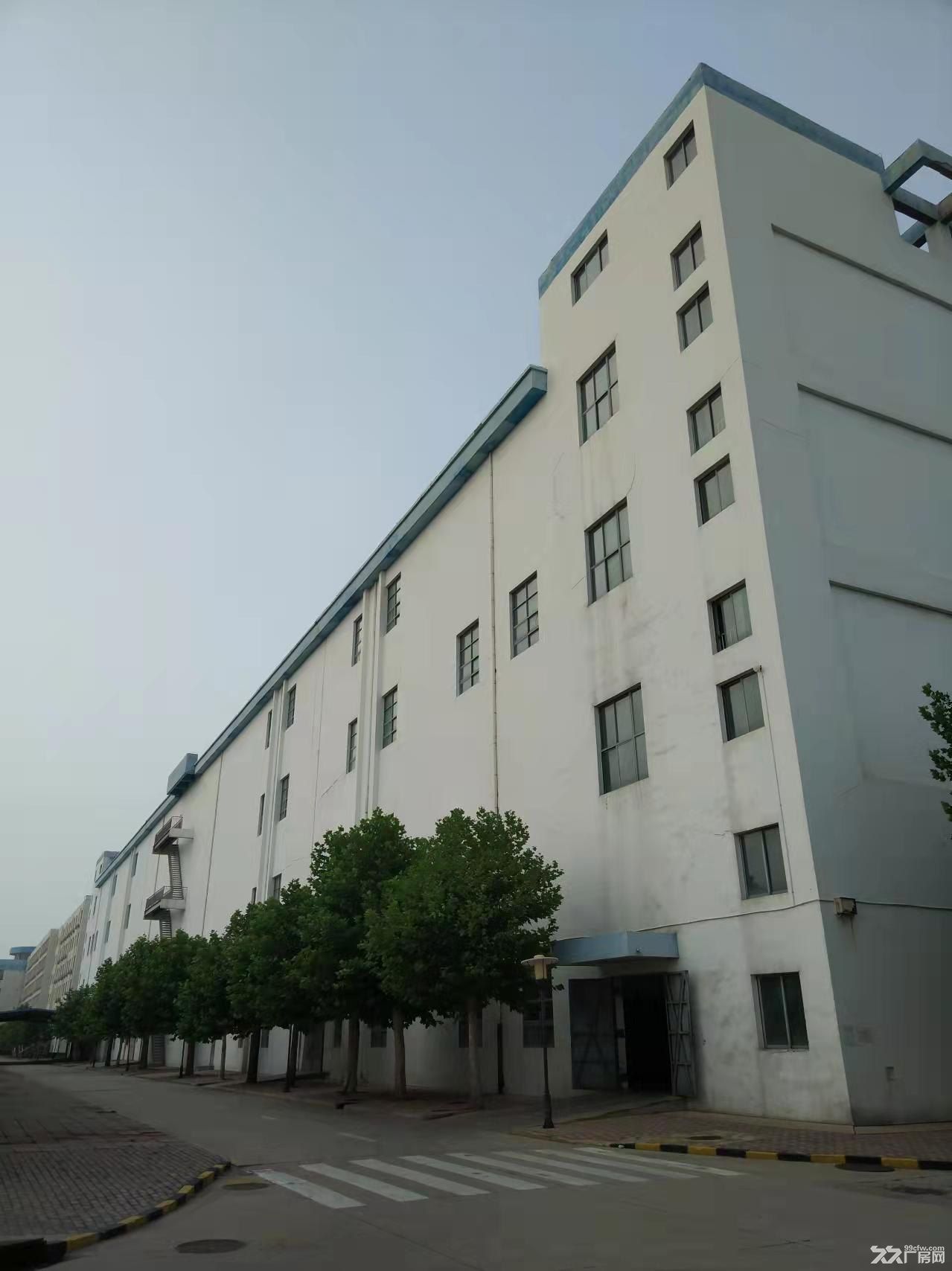 高新区临街厂房对外招租 - 4