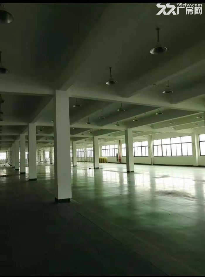 出租集美灌口标准独幢厂房8000平,单层2000,独门独院 更新于2019-09 - 5
