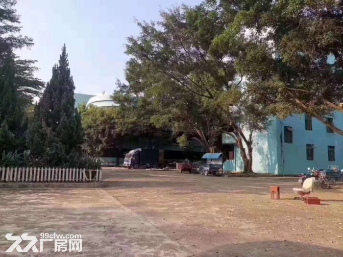塘厦高速路口 14元每平方 独院厂房仓库出租3万平方 可分租
