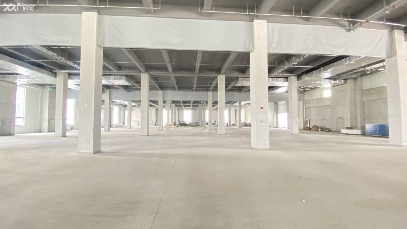 曹路镇 东部湾现代产业园 研发厂房 新材料半导体 - 6