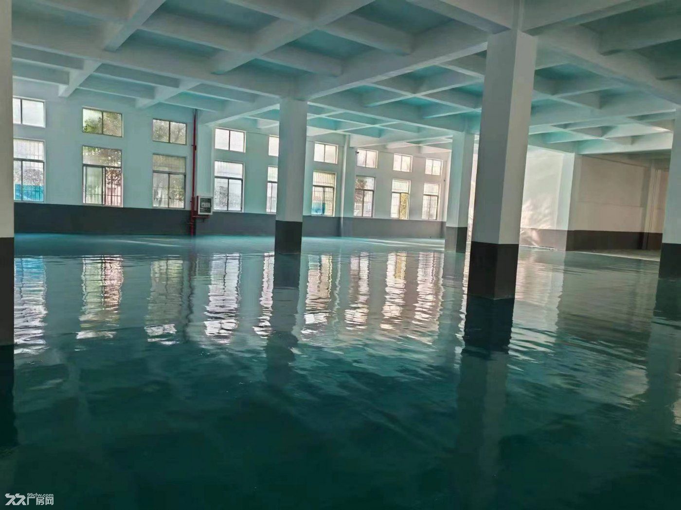 金都路沿线新空出900平标准厂房可分租