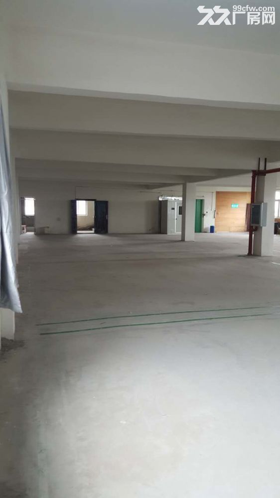 正规园区标准工业厂房优惠出租 - 5