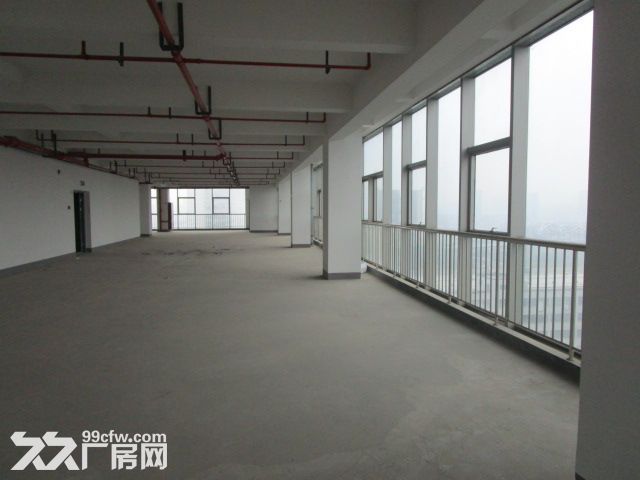 西兴厂房出租  速抢    先到先得 - 4