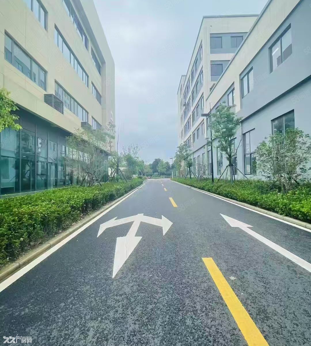 六合江北快速路旁厂房出租!小户型大户型都有,7元/平起! - 5