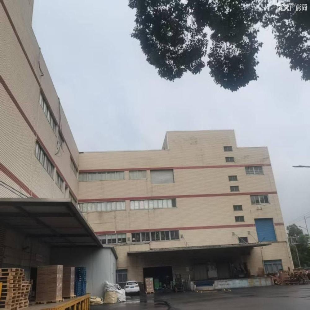 出租浦东自由贸易区外高桥片区工业厂房库房（一层起租） - 5