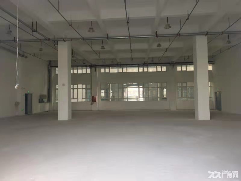东营厂房出售,独栋厂房,钢结构厂房,可按揭 - 3