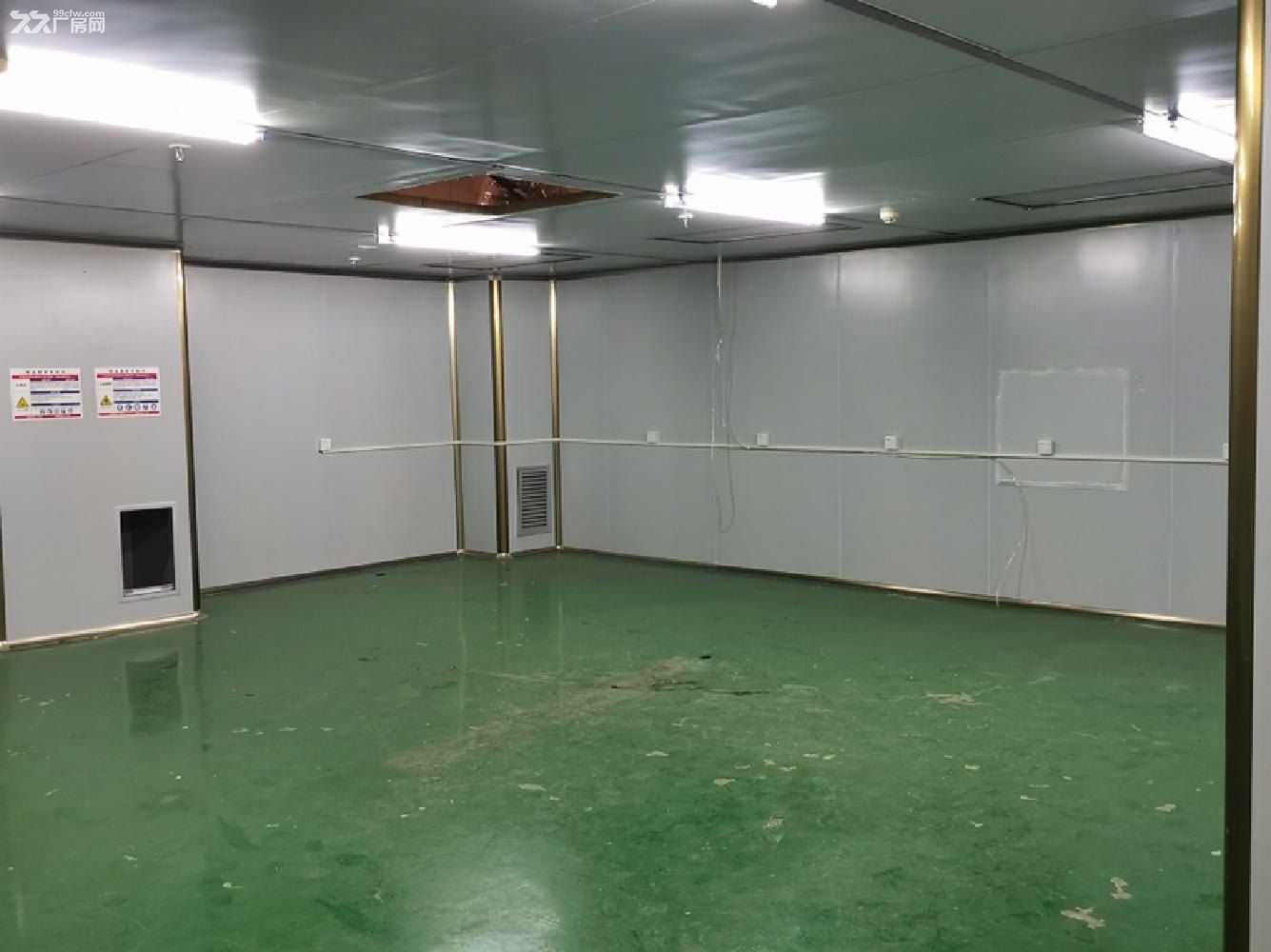 深圳龙华大浪华荣路新出800平精装修厂房出租 - 4