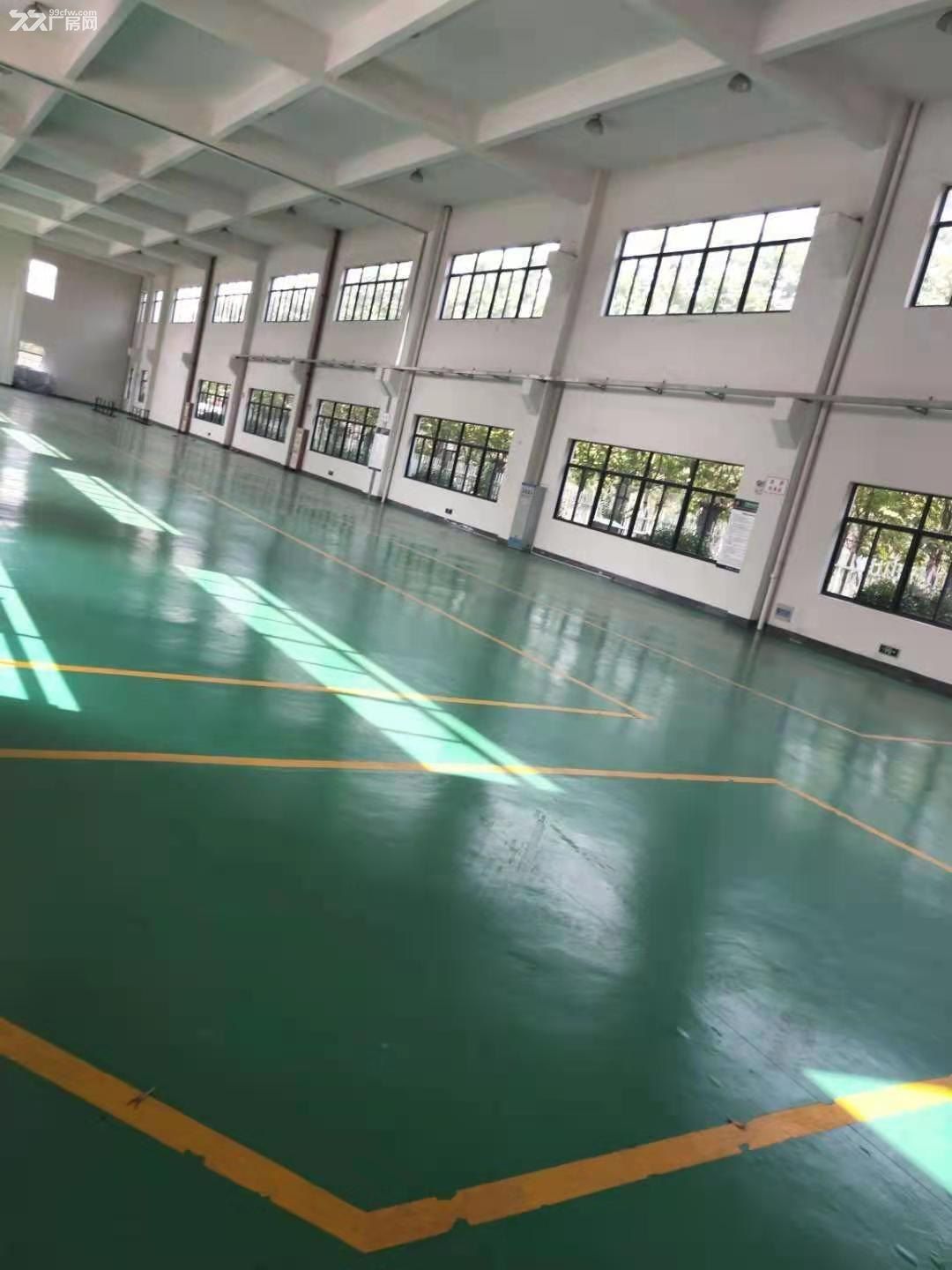 出租德清15000方层高15米带20吨行车厂房