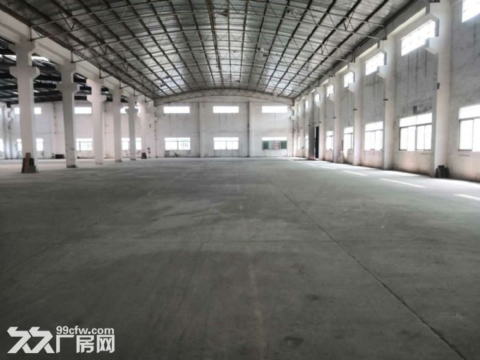 江门台山四九长龙工业区独院单一层10米高厂房4000平方招租 - 4