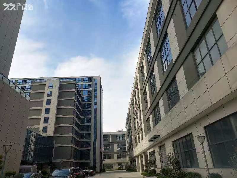 非中介招宝山街道国企厂房全新一楼11米 - 3