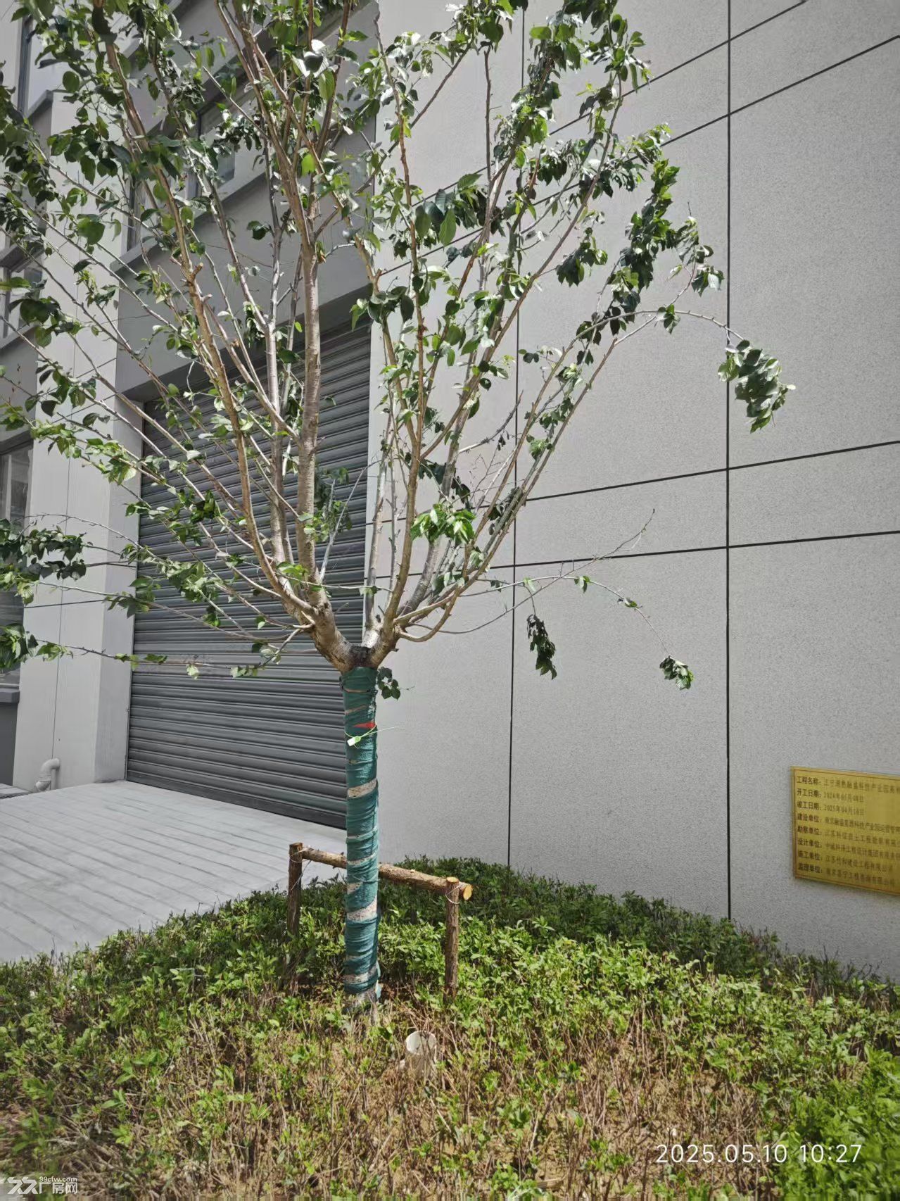 南京市江宁花园双拼独栋 首层七米八 独立电梯井 首付30% 按揭10年 - 3