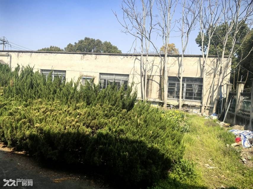 练市洪塘2000平方厂房出租 - 3
