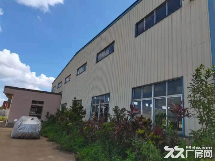 江门台山工业新城龙山路附近单一层厂房仓库1400平方出租 - 2