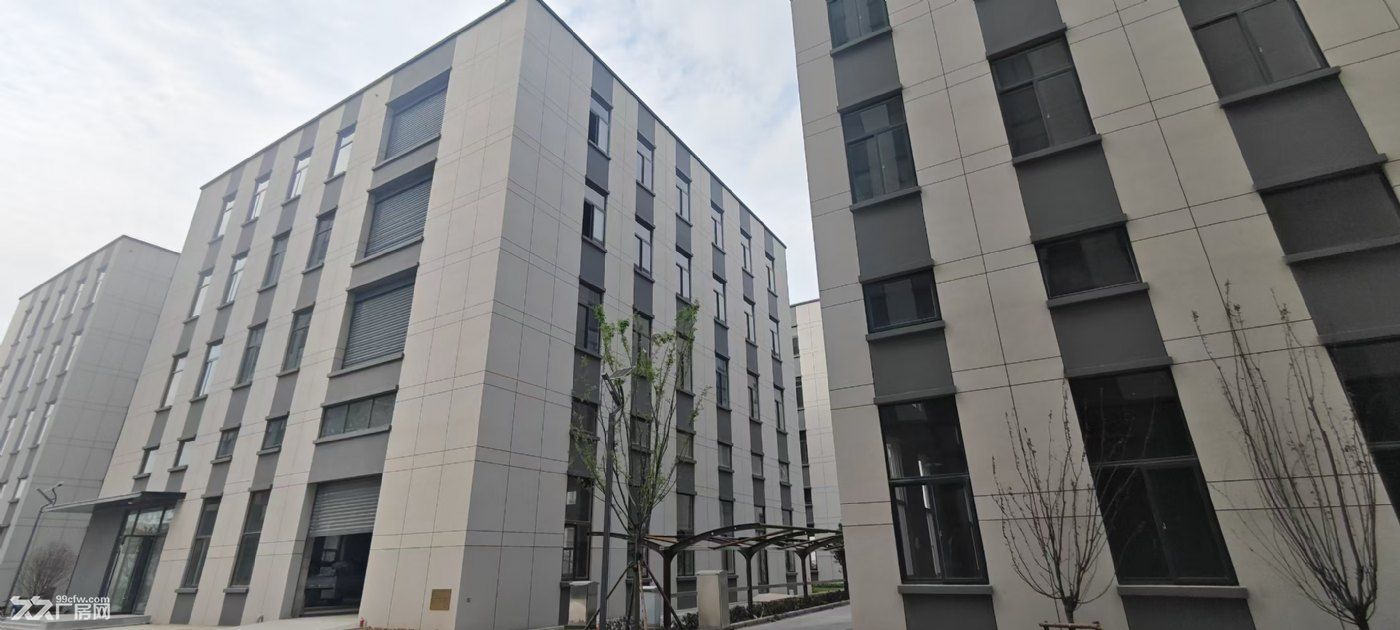 江宁大学城全新高标厂房出租出售，年底钜惠清盘 - 3