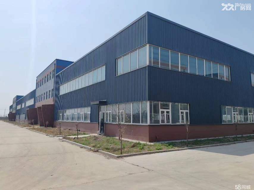 滨海经济开发区单层钢结构厂房可分割可租可售 - 2