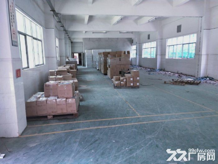 龙岗嶂背原房东3000平独栋厂房,可分租,在主干道,人流量大 - 6