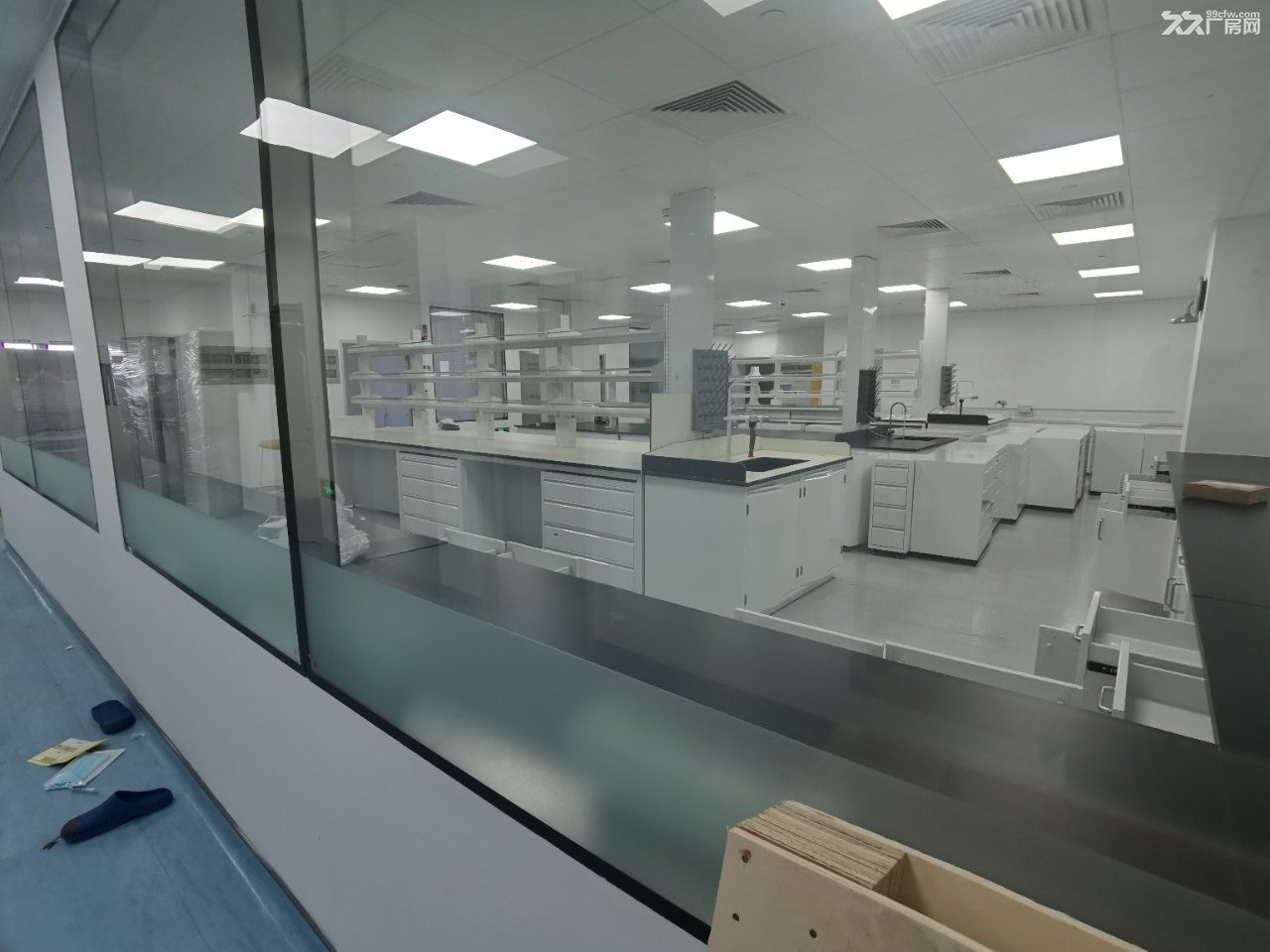 张江科学城 药谷区域 整层精装实验室 超高得房率 实景拍摄